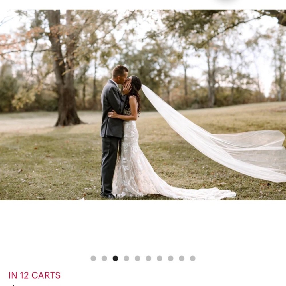 Lord and Grey Bridal cathedral veil from Etsy